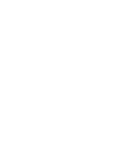 Logo S & D blanco